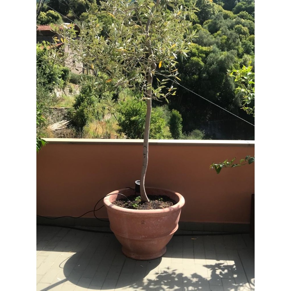 Large-Footed Terracotta Vase
